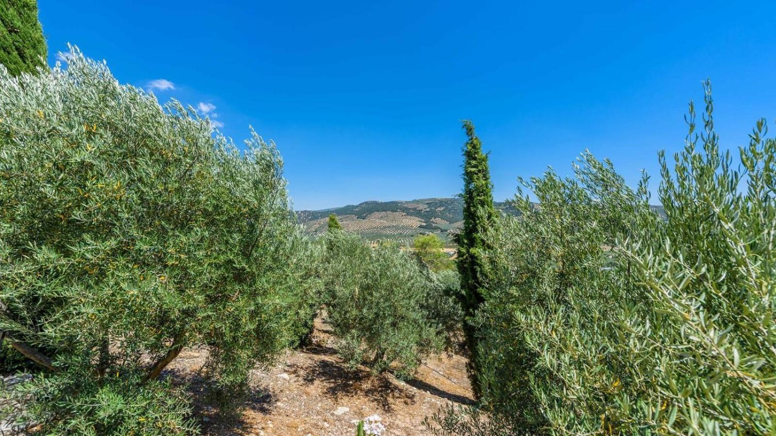Cortijo Casablanca Priego De Cordoba By Ruralidays Villa Buitenkant foto